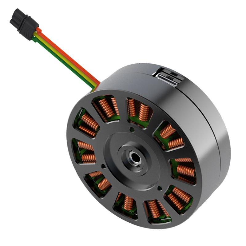 Heiß begehrtes Mikro-36V-DC-BL – Cycloidal Reducer Bldc Motor Bewertung und Preis