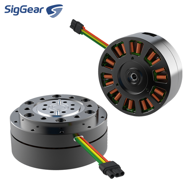 Heiß begehrtes Mikro-36V-DC-BL – Cycloidal Reducer Bldc Motor Bewertung und Preis